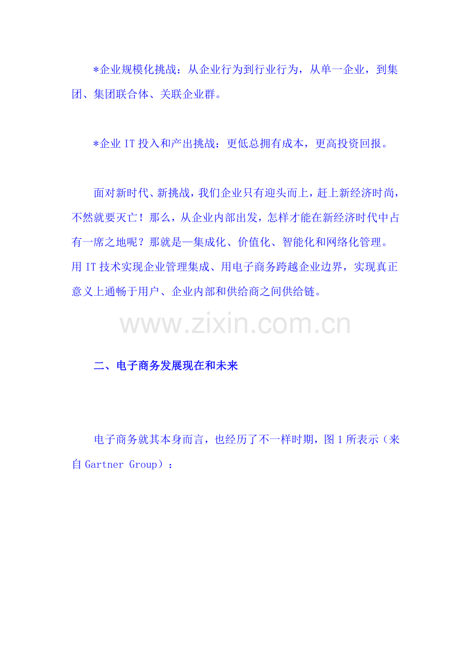 电子商务整体解决方案分析样本.doc_第2页