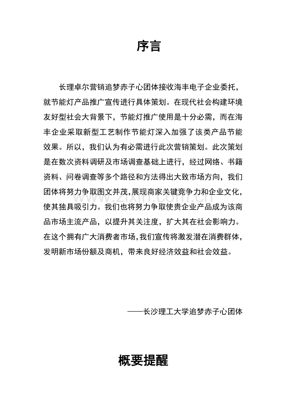 节能灯营销方案策划书样本.doc_第2页