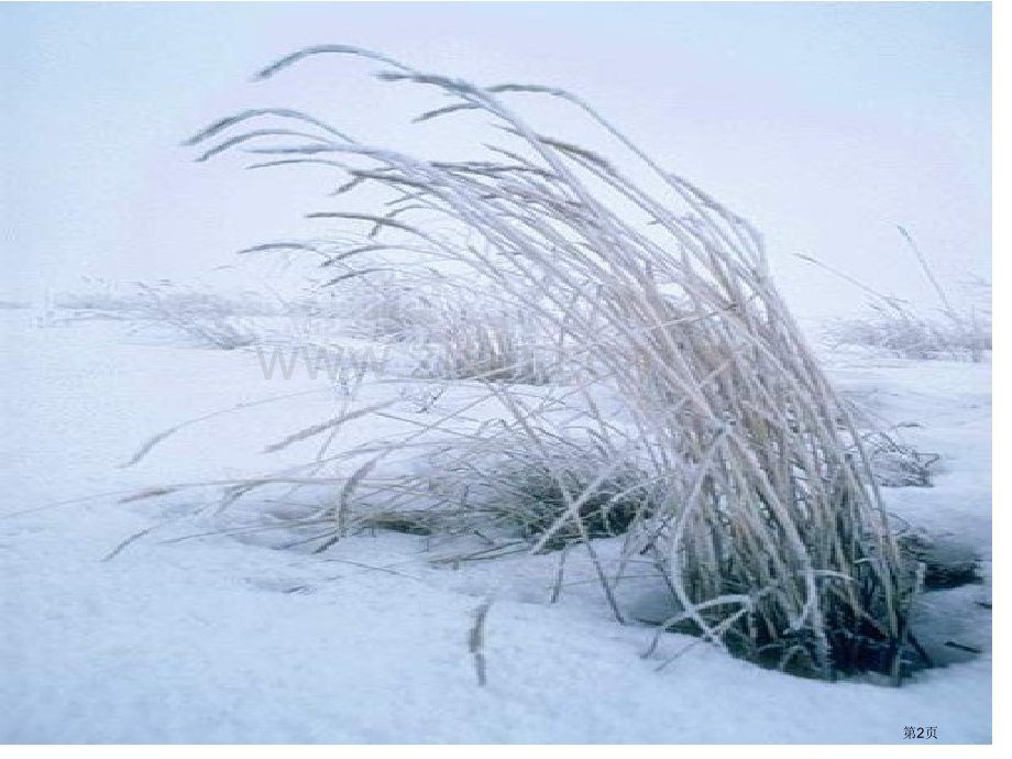 雪地里的小画家课件8省公开课一等奖新名师比赛一等奖课件.pptx_第2页