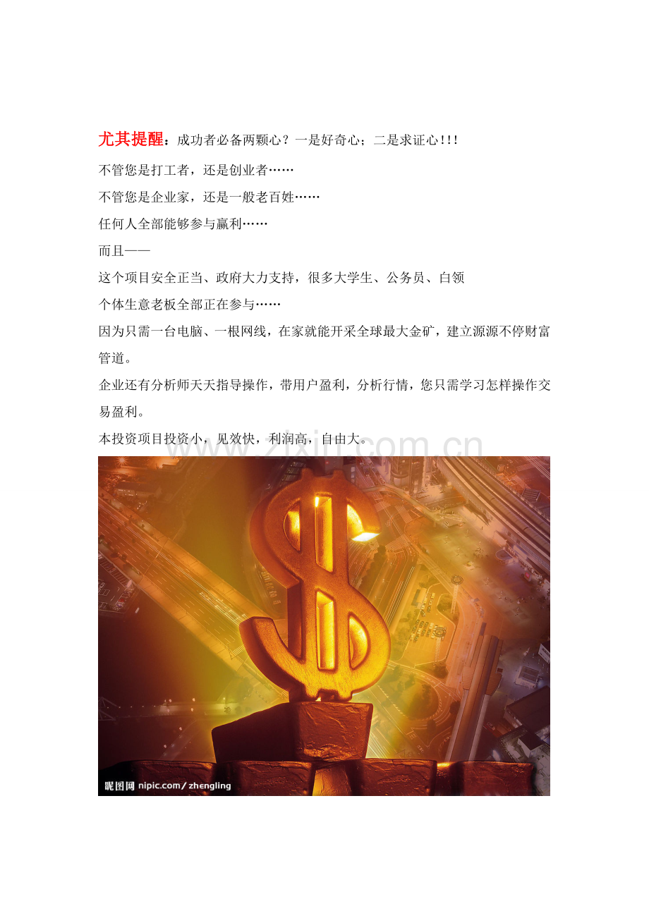 黄金投资建议书模板.doc_第1页