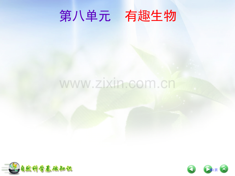 自然科学基础知识有趣的生物部分省公共课一等奖全国赛课获奖课件.pptx_第1页