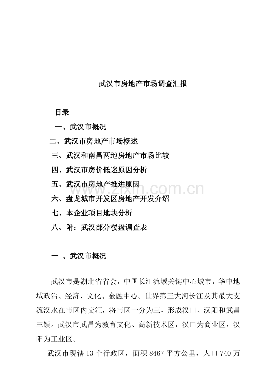 武汉市房地产市场调查报告模板样本.doc_第1页