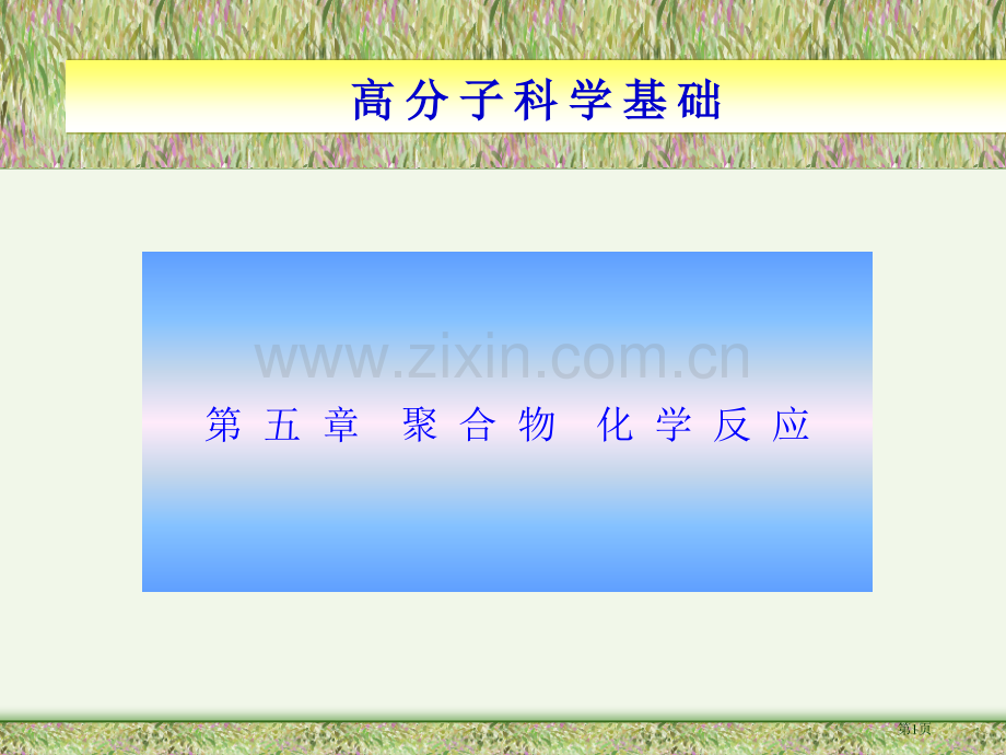 高分子的化学反应省公共课一等奖全国赛课获奖课件.pptx_第1页