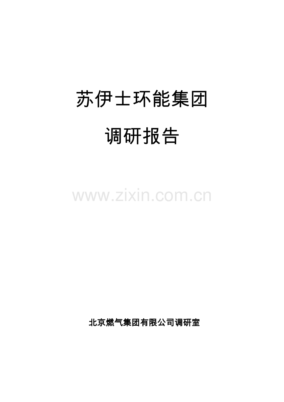 苏伊士环能集团调研分析报告.doc_第1页
