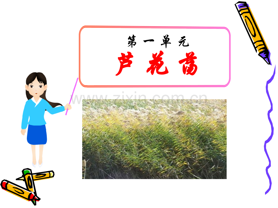 芦花荡课件9省公开课一等奖新名师比赛一等奖课件.pptx_第1页