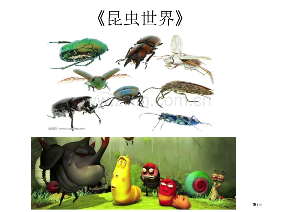 昆虫教学专题教育课件省公共课一等奖全国赛课获奖课件.pptx_第1页