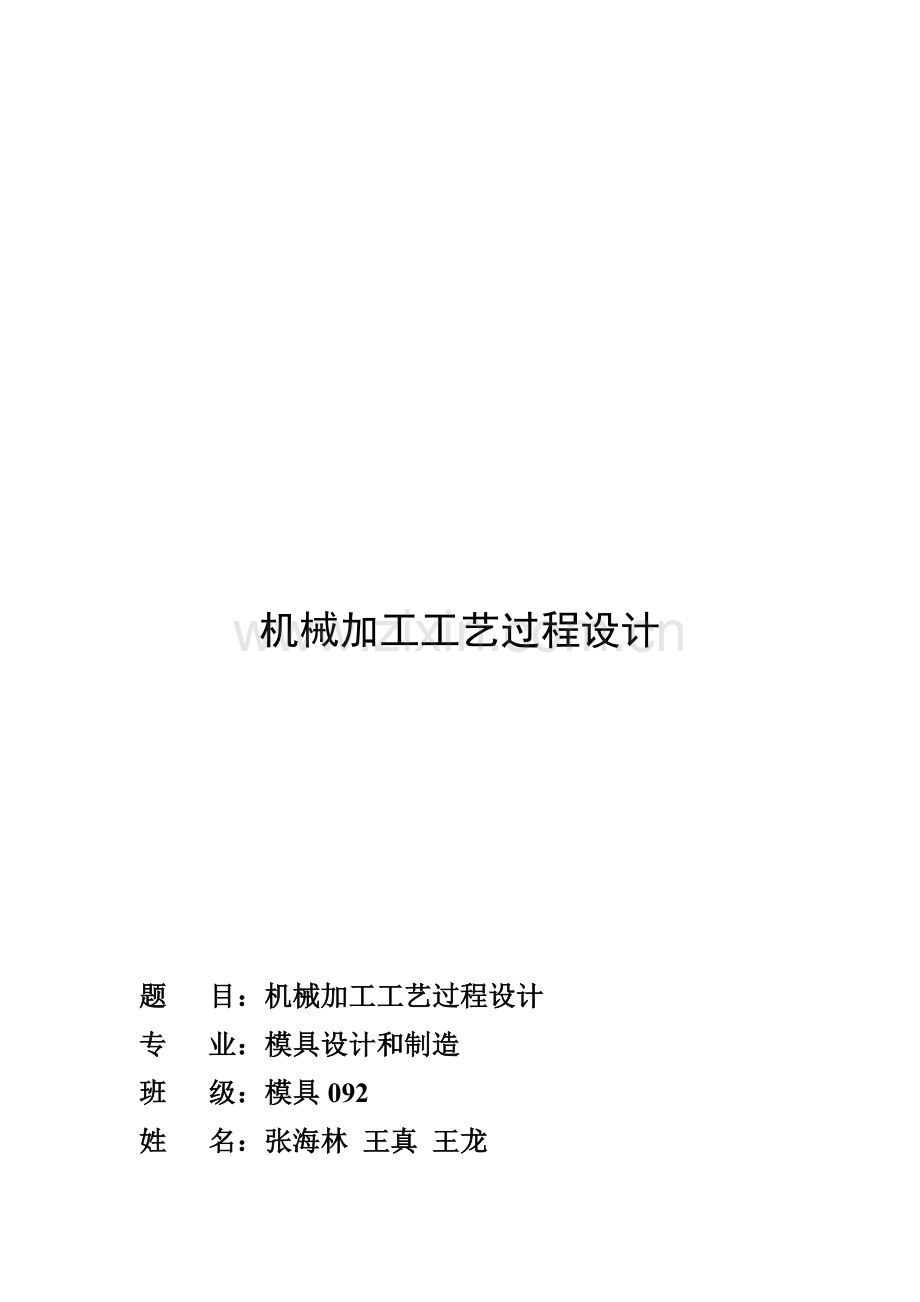 浅谈机械加工工艺过程设计模板.doc_第1页
