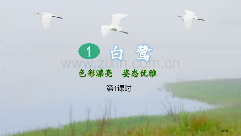 白鹭教学省公开课一等奖新名师比赛一等奖课件.pptx_第1页