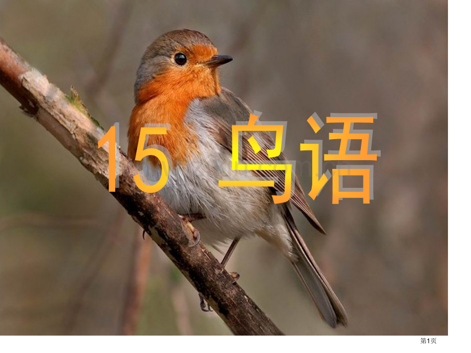 苏教版四年级下册鸟语省公共课一等奖全国赛课获奖课件.pptx_第1页