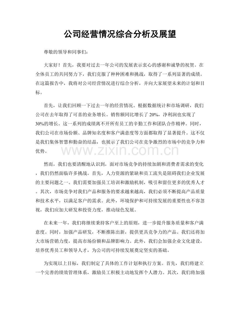 公司经营情况综合分析及展望.docx_第1页