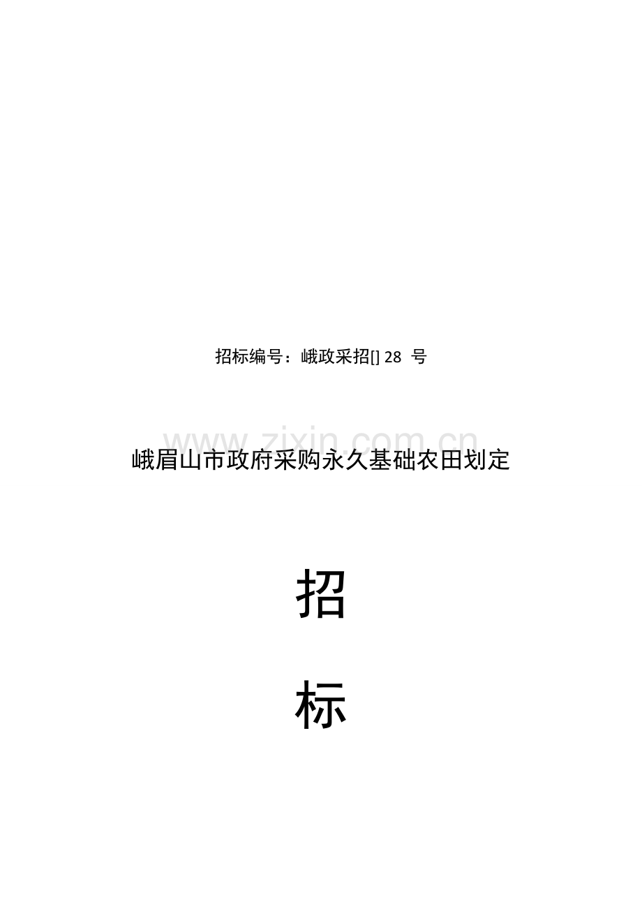政府采购永久基本农田划定招标文件模板.doc_第1页