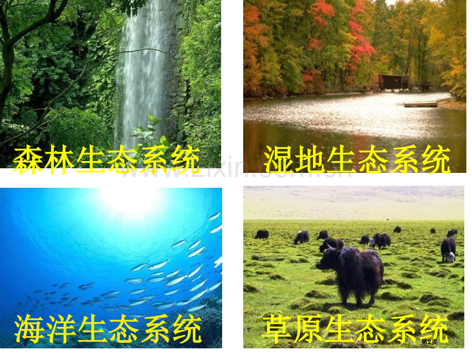 高二生物生态系统的营养结构省公共课一等奖全国赛课获奖课件.pptx_第2页