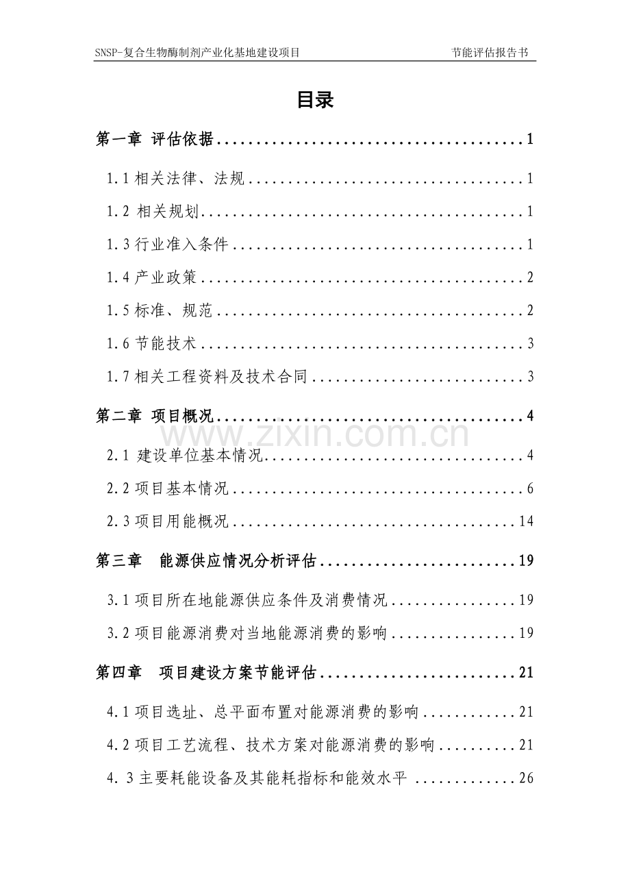 SNSP-复合生物酶制剂产业化基地建设项目节能评估报告.doc_第1页