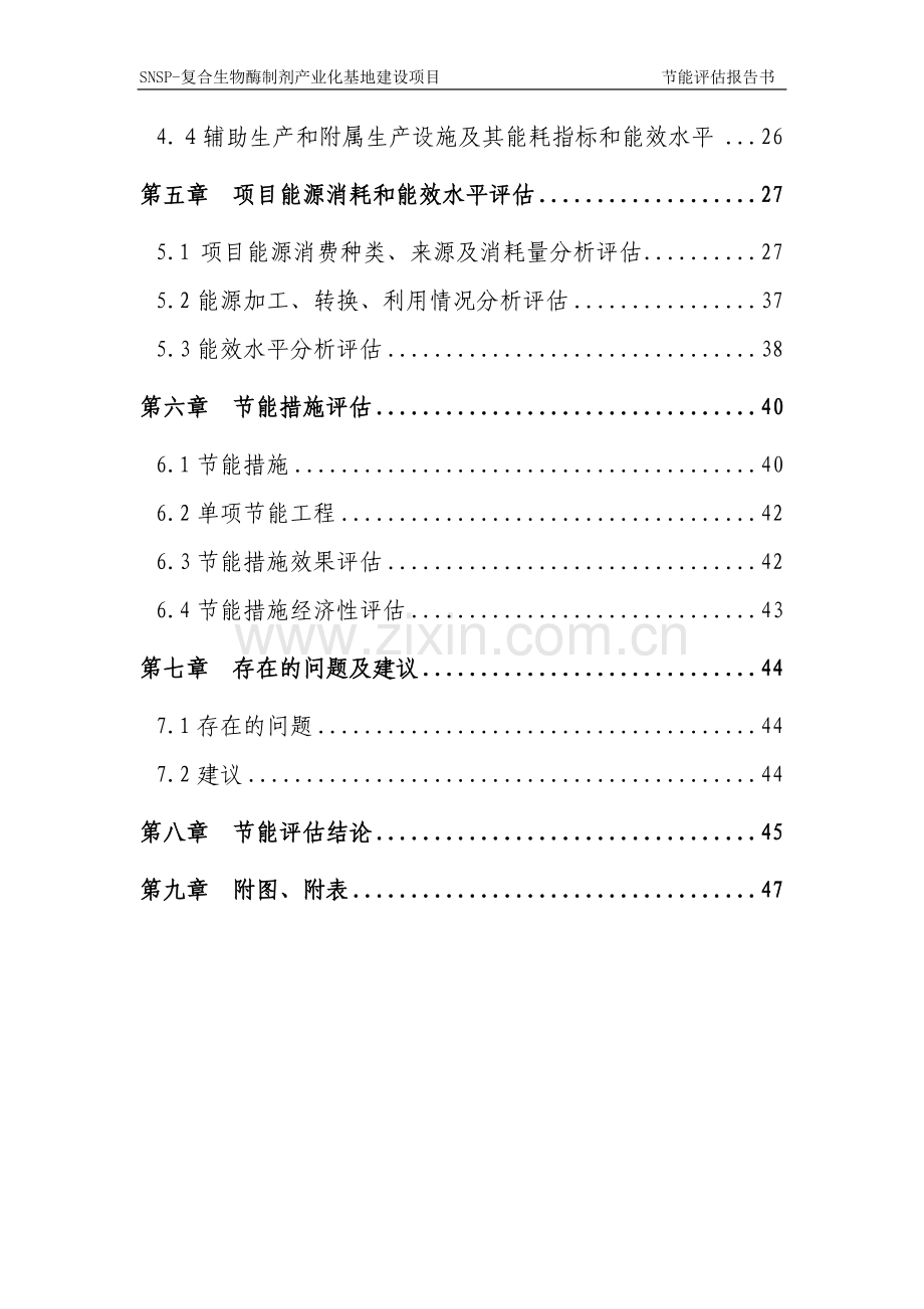 SNSP-复合生物酶制剂产业化基地建设项目节能评估报告.doc_第2页