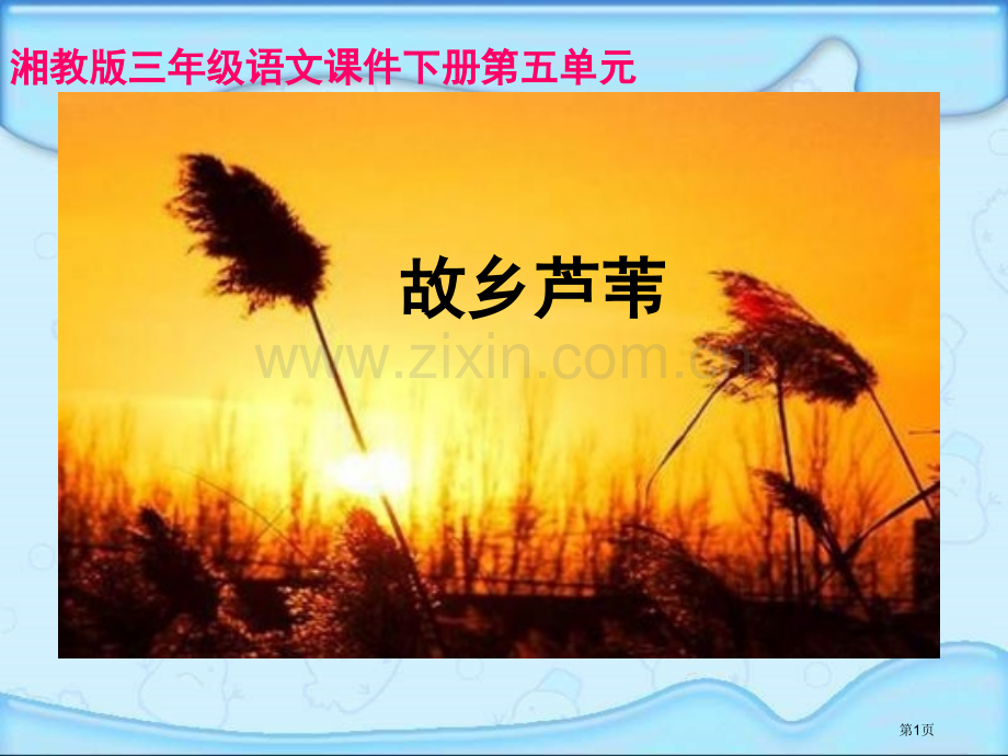 湘教版三年级下册故乡的芦苇课件市公开课一等奖百校联赛特等奖课件.pptx_第1页