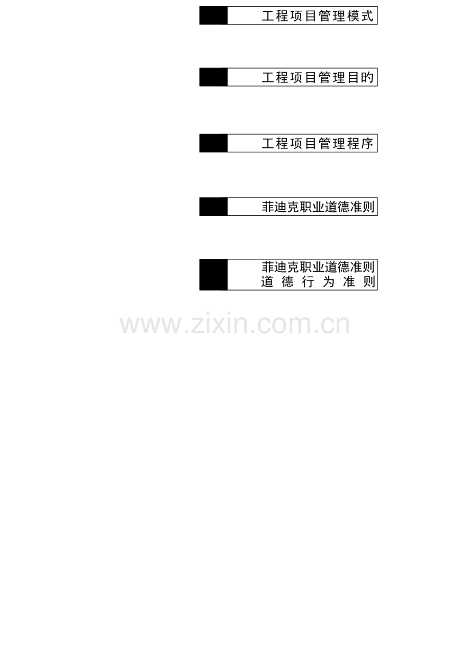 新版关键工程专项项目管理控制标准流程.docx_第2页