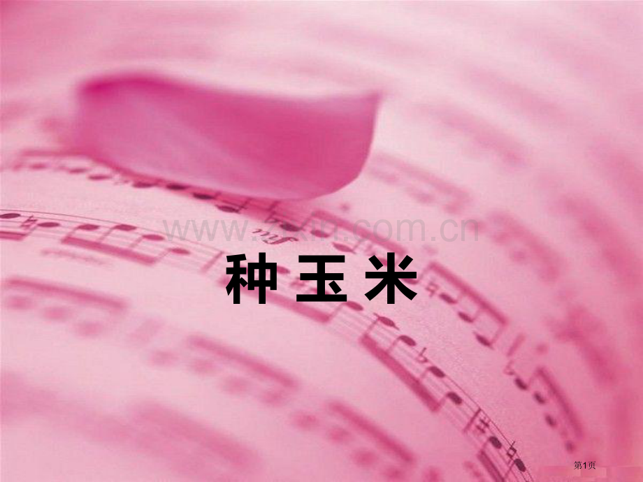 种玉米省公开课一等奖新名师比赛一等奖课件.pptx_第1页