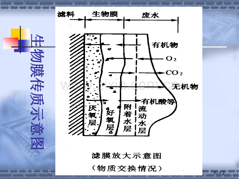 污染控制生物膜法省公共课一等奖全国赛课获奖课件.pptx_第2页