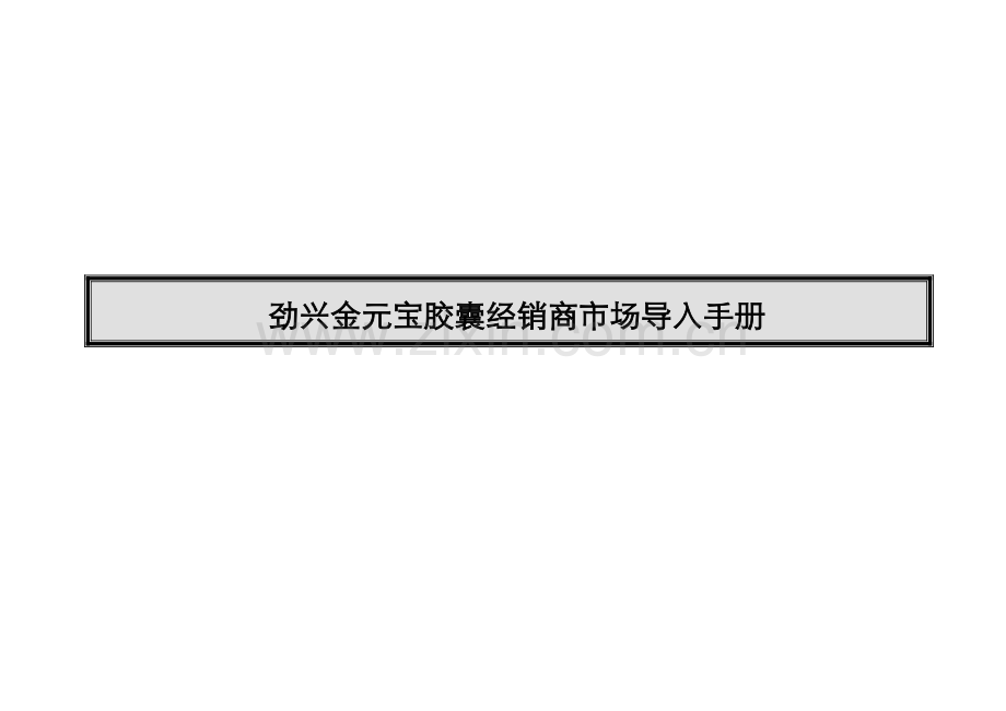 汽车公司经销商执行手册模板.doc_第1页