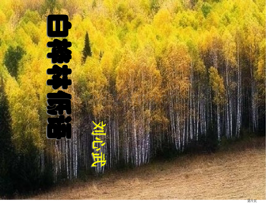 白桦林的低语省公开课一等奖新名师比赛一等奖课件.pptx_第1页