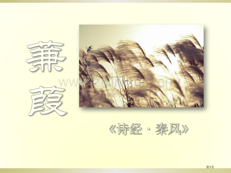 蒹葭课件8省公开课一等奖新名师比赛一等奖课件.pptx_第1页