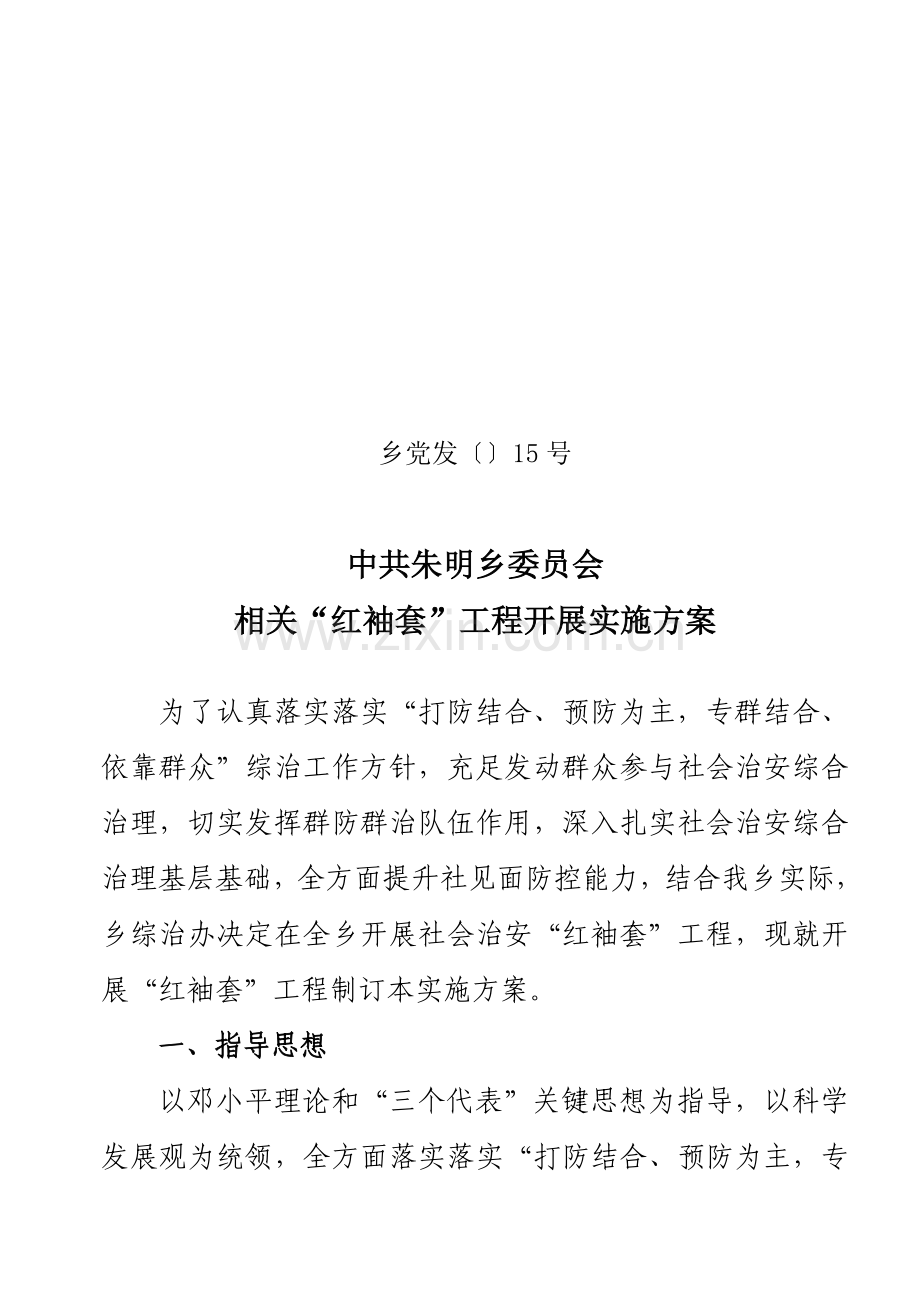 红袖套综合重点工程开展实施专业方案.doc_第1页