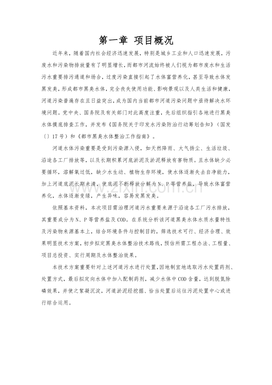 河道污水处理关键技术设计专项方案.doc_第2页