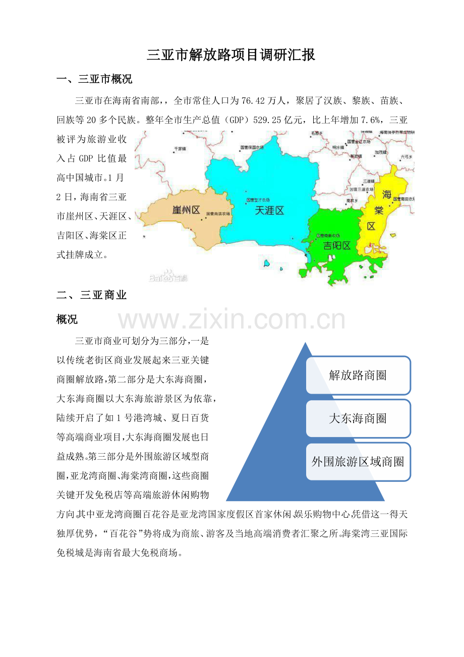 三亚市解放路商圈调研研究报告.docx_第1页
