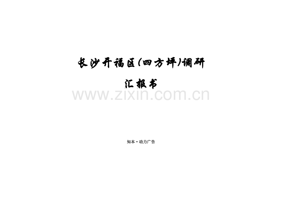 长沙市开福区项目调研报告书样本.doc_第1页