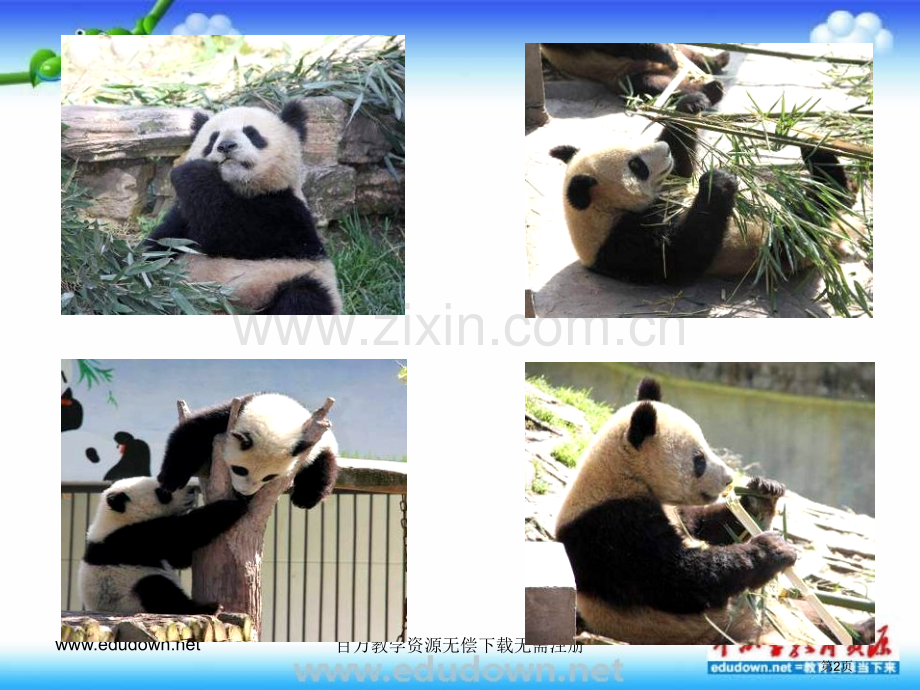 苏少版美术七上人类的朋友省公共课一等奖全国赛课获奖课件.pptx_第2页