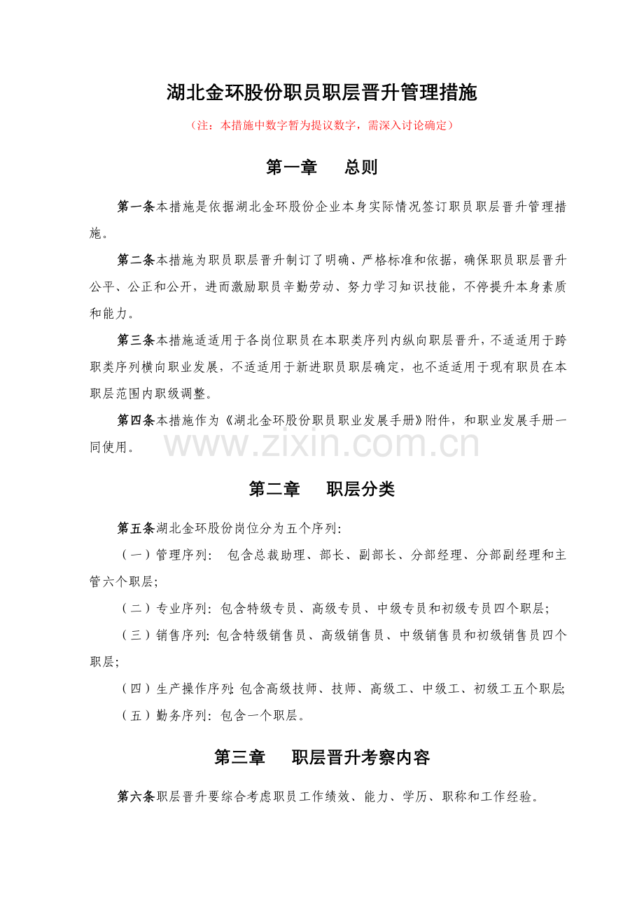 湖北公司员工职层晋升管理办法模板.doc_第1页
