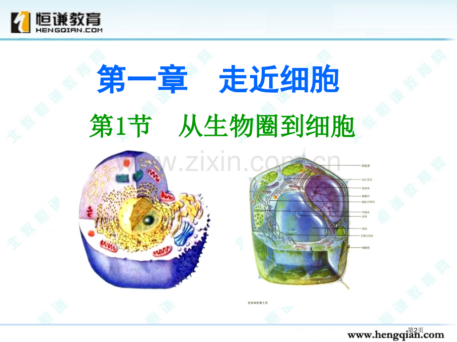 生物必修一专业知识省公共课一等奖全国赛课获奖课件.pptx_第2页