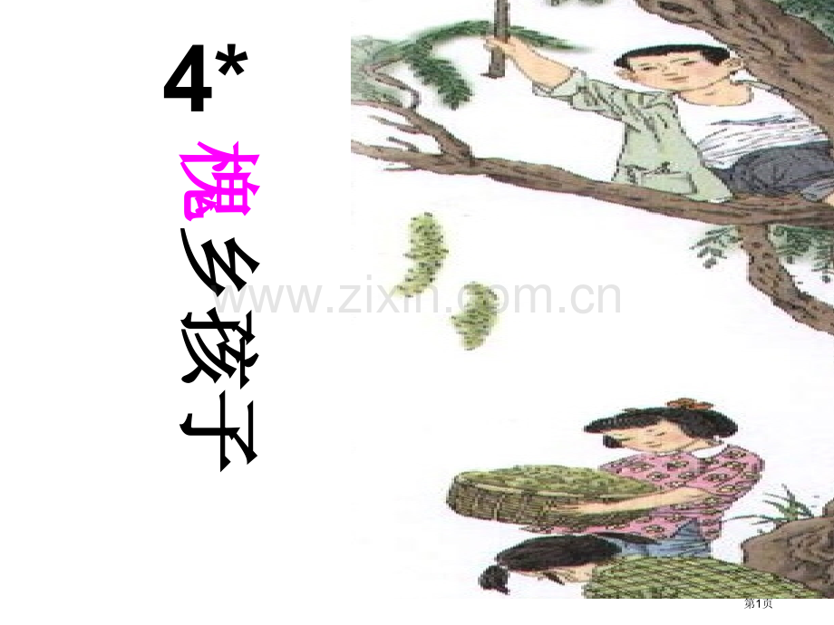 槐乡的孩子教学省公共课一等奖全国赛课获奖课件.pptx_第1页