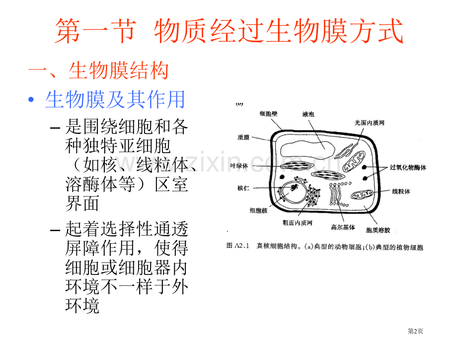 污染物质在生物体内的转运富集省公共课一等奖全国赛课获奖课件.pptx_第2页
