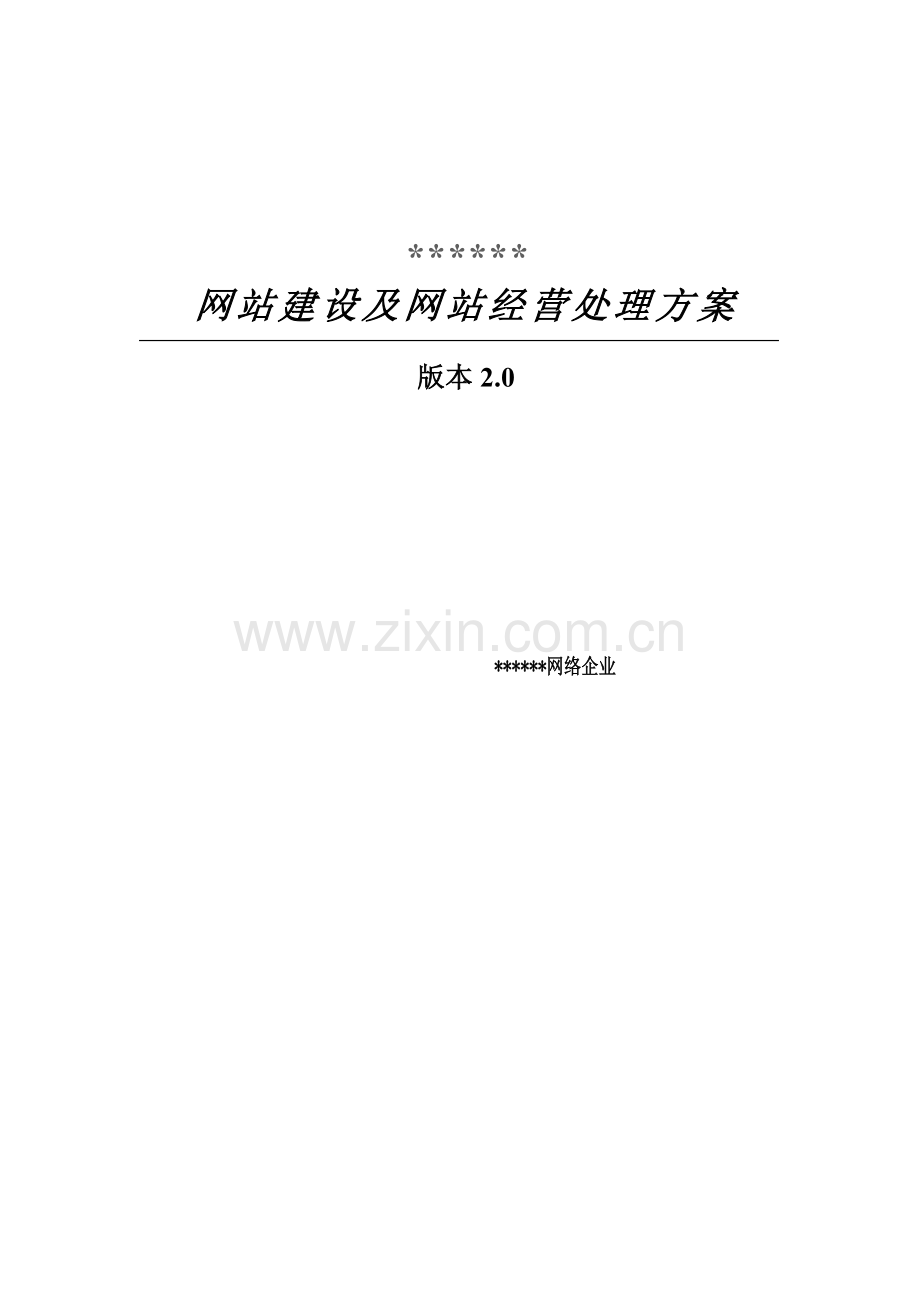 网络公司网站建设及经营解决方案样本.doc_第1页