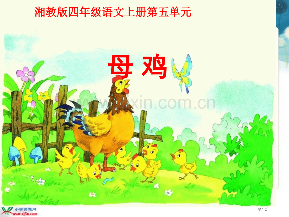 湘教版四年级上册母鸡课件2市公开课一等奖百校联赛特等奖课件.pptx_第1页