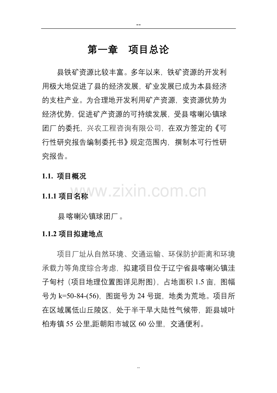 球团厂新建项目可行性研究报告.doc_第1页