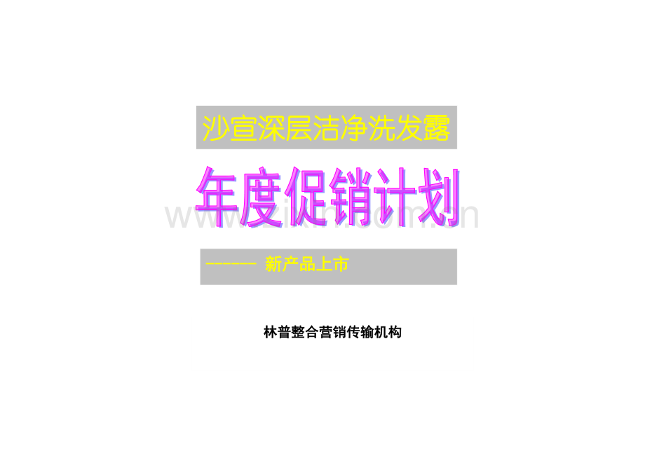 沙宣深层洁净洗发露策划方案样本.doc_第1页