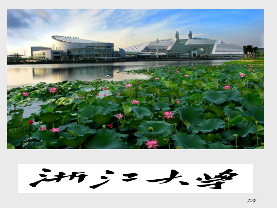 提高课堂教学有效性的若干研究简介浙江大学教育学院盛群力市公开课一等奖百校联赛特等奖课件.pptx_第2页