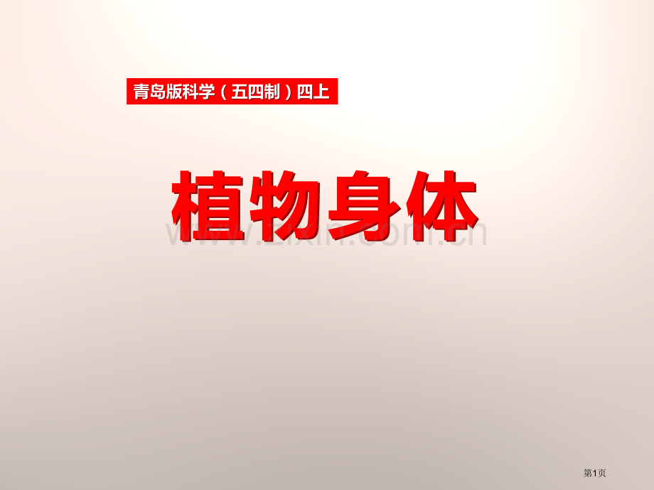 植物的身体省公开课一等奖新名师比赛一等奖课件.pptx_第1页