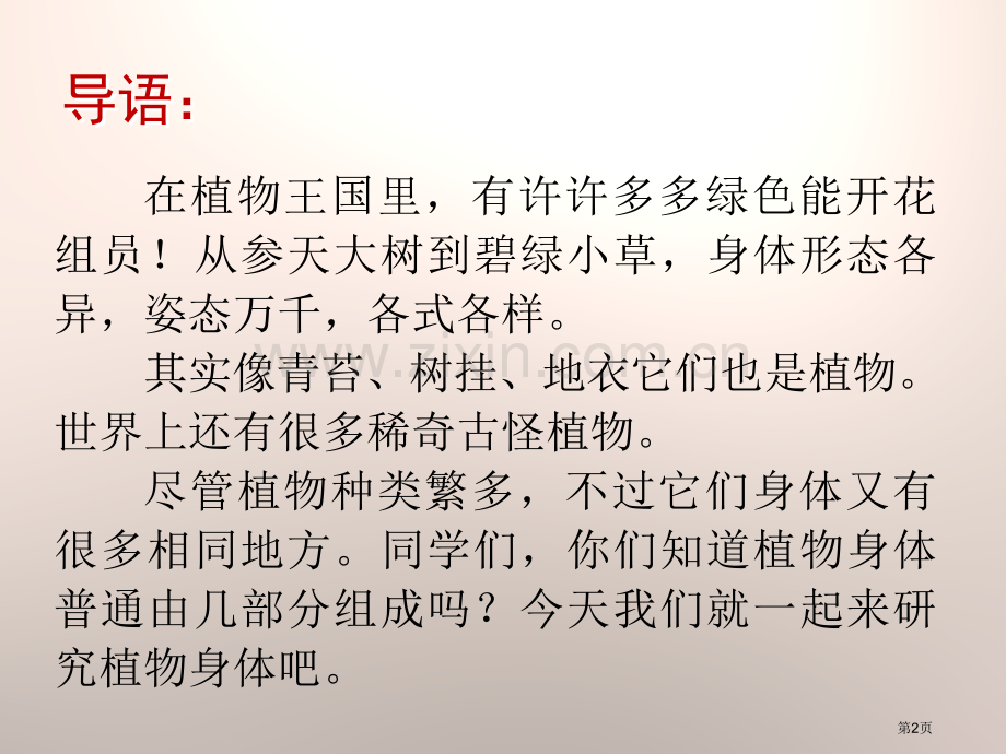 植物的身体省公开课一等奖新名师比赛一等奖课件.pptx_第2页