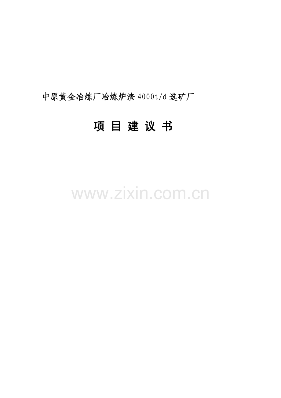 炉渣选矿项目建议书模板.doc_第1页