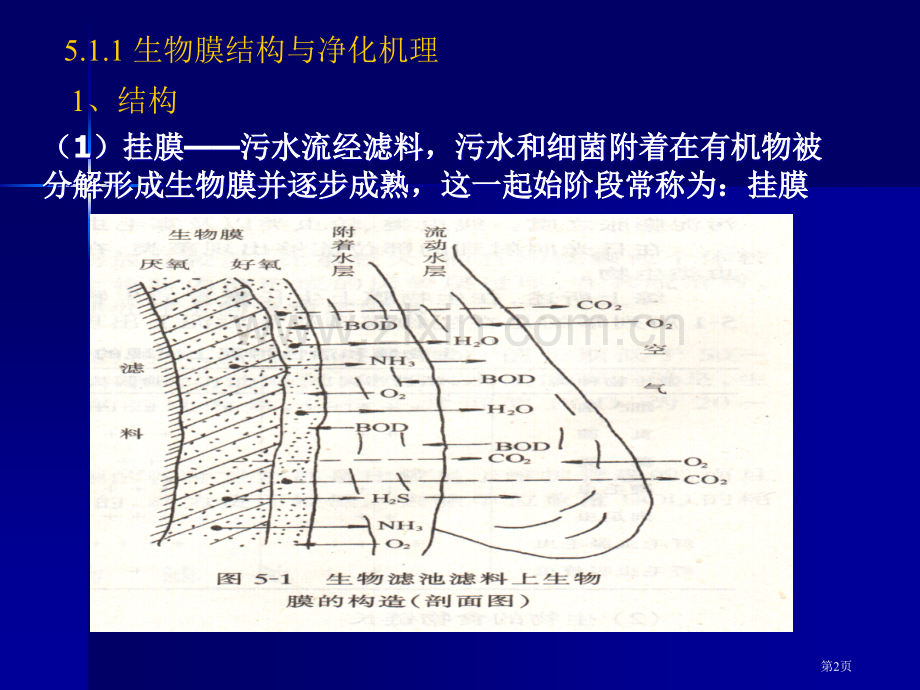 污水的生物处理生物膜法省公共课一等奖全国赛课获奖课件.pptx_第2页
