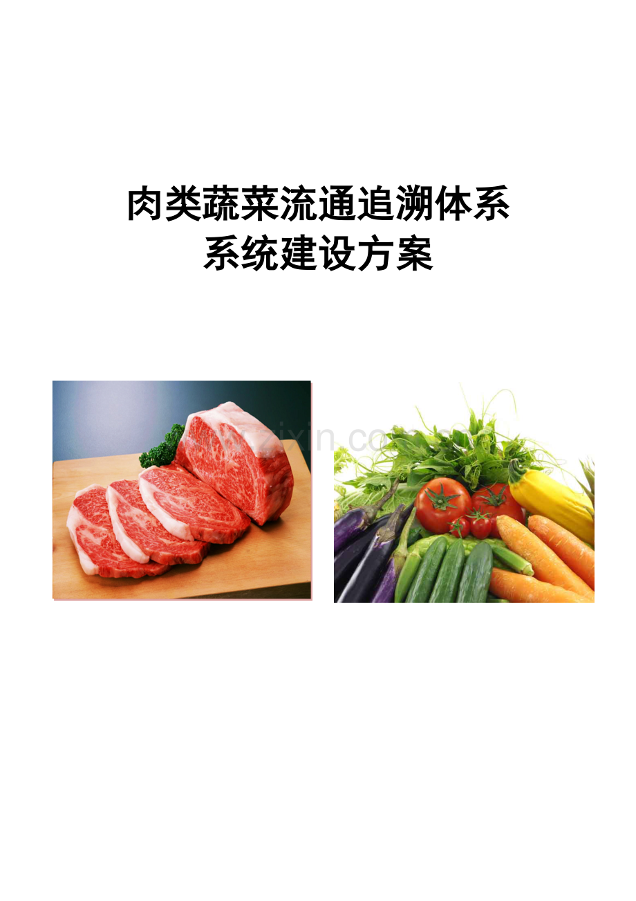 肉菜追溯建设专项方案.doc_第1页