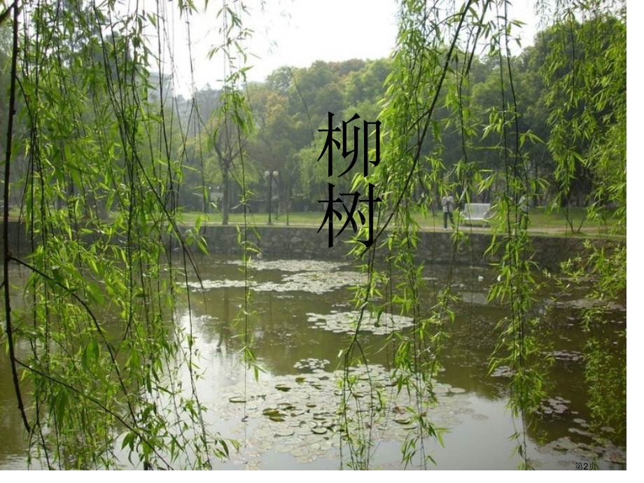 柳笛和榆钱省公开课一等奖新名师比赛一等奖课件.pptx_第2页