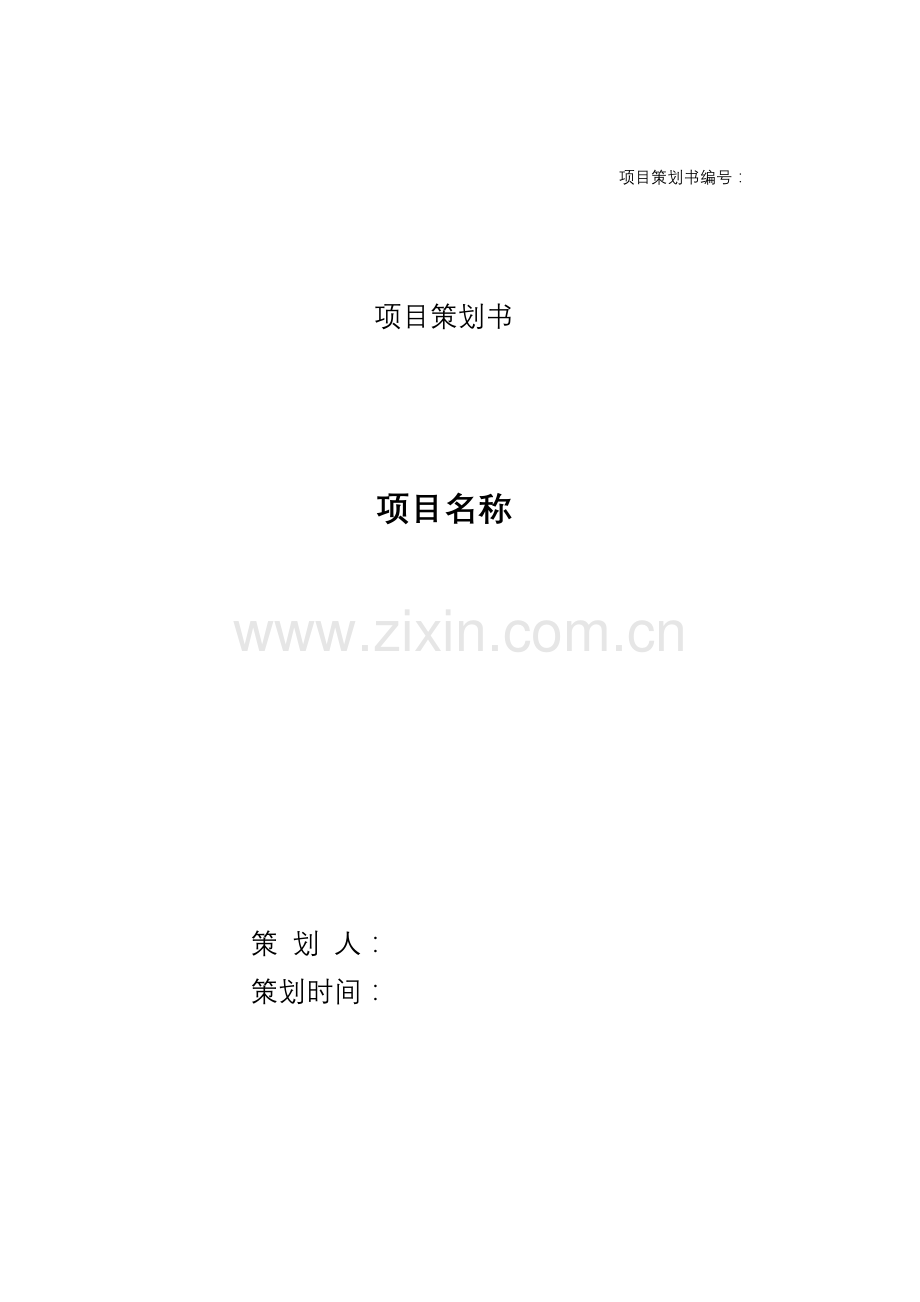 综合项目专业策划书模板.doc_第1页