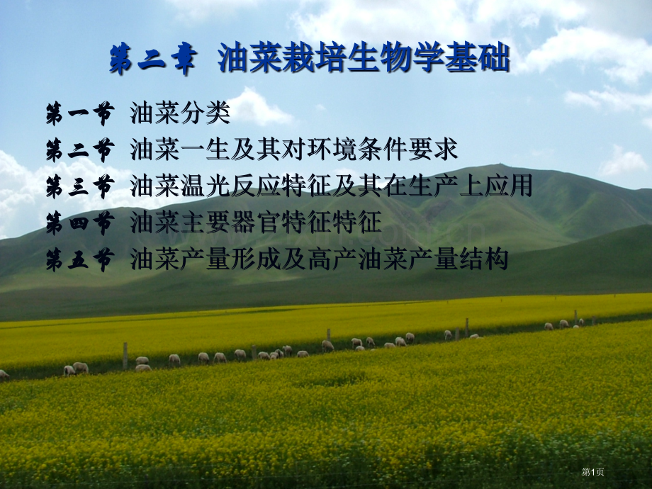油菜栽培的生物学基础省公共课一等奖全国赛课获奖课件.pptx_第1页
