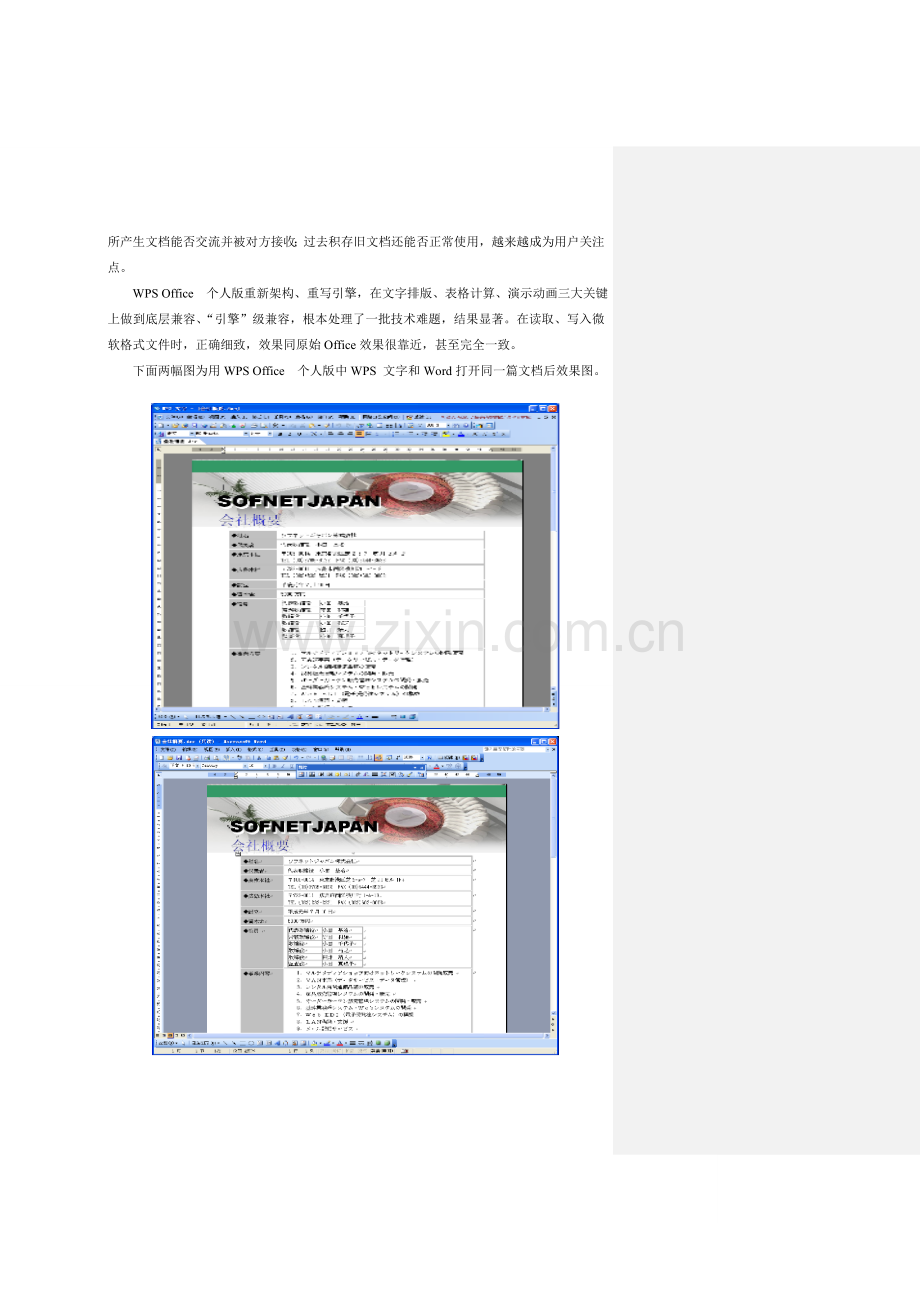 金山WPS个人版用户手册转用模板.doc_第2页