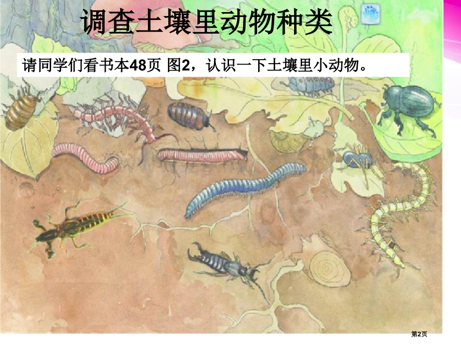 土壤中的动物植物生活的土地课件省公开课一等奖新名师比赛一等奖课件.pptx_第2页