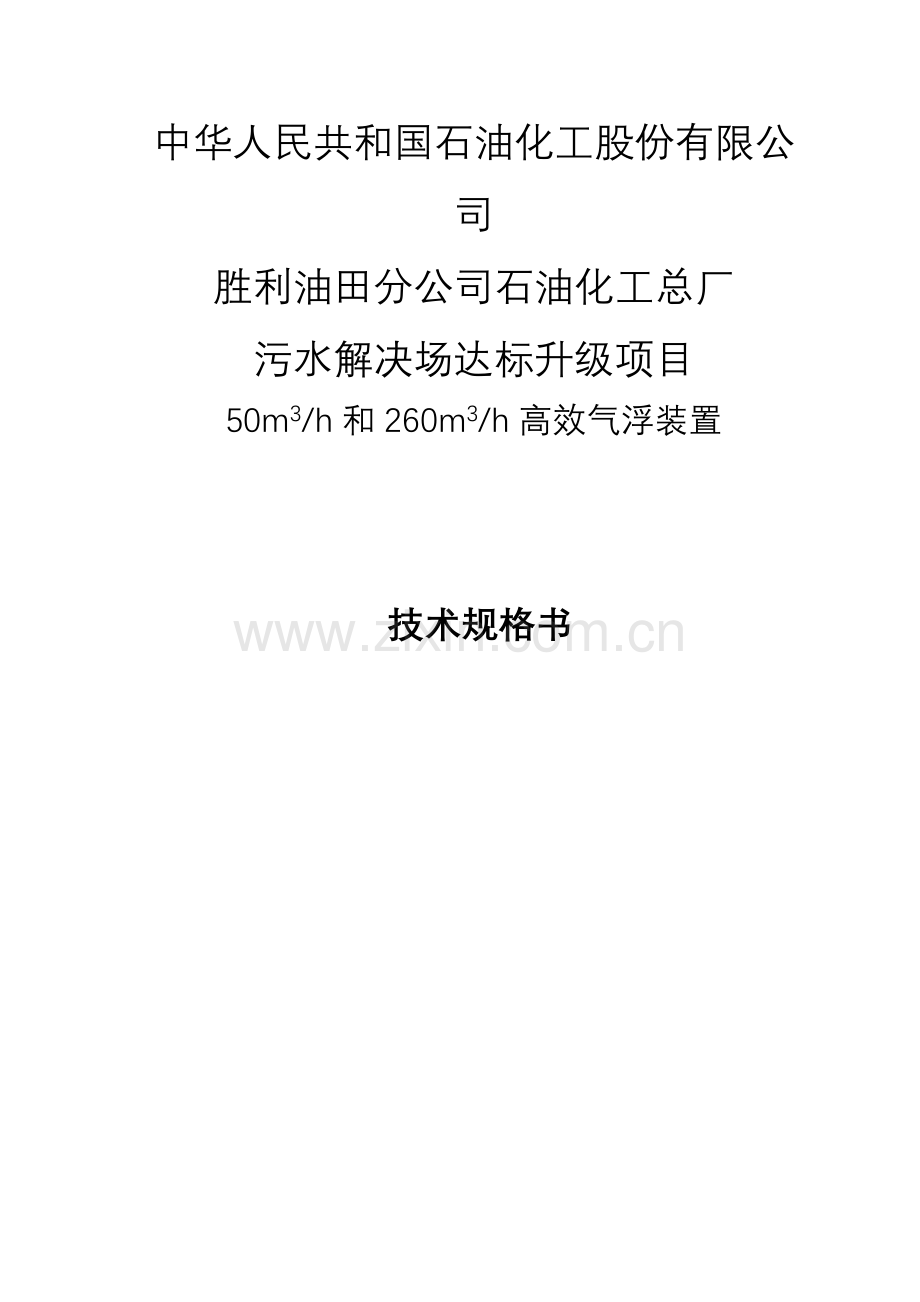 高效气浮装置关键技术规格书.doc_第1页